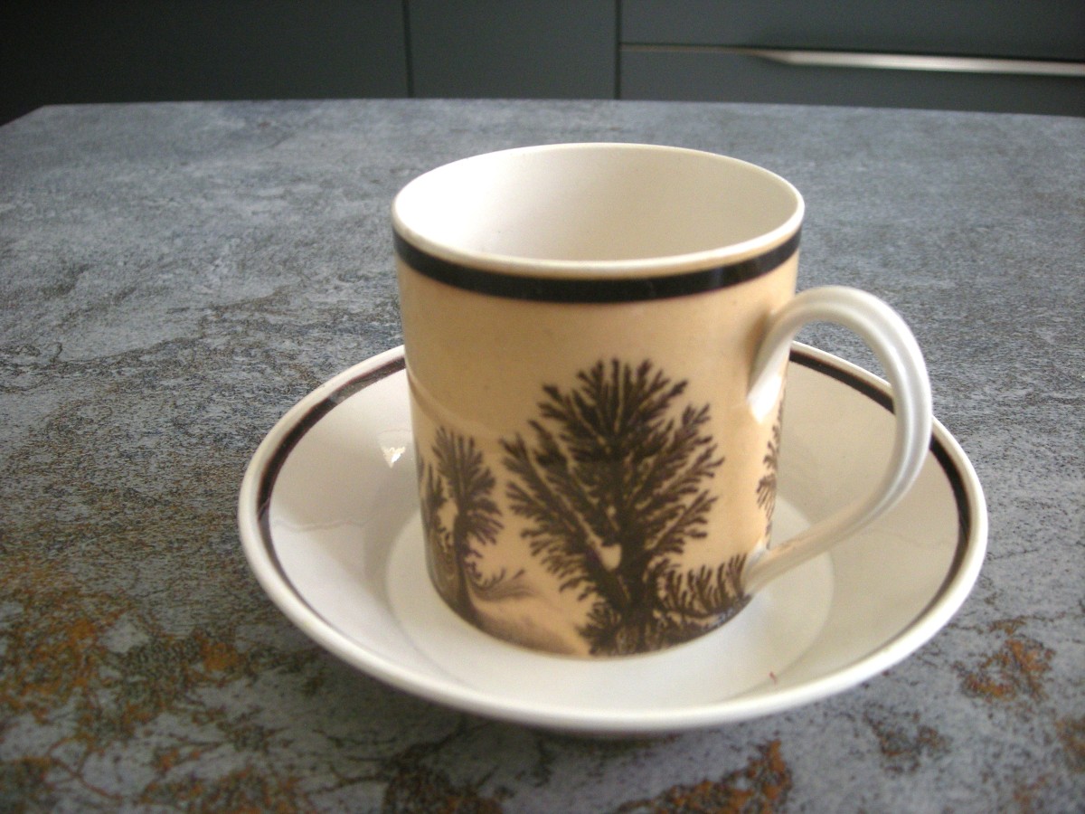 Herborisation Cup And Saucer By Manufacture De Creil-photo-3
