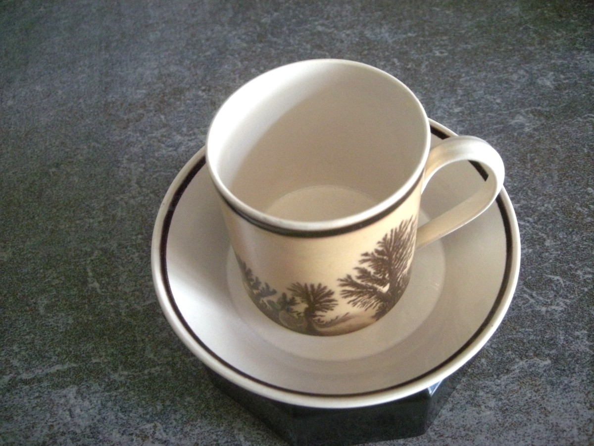 Herborisation Cup And Saucer By Manufacture De Creil-photo-3