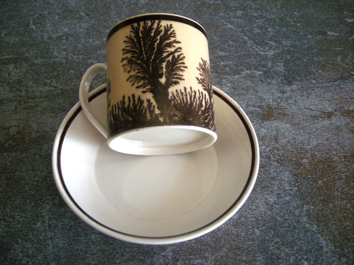 Herborisation Cup And Saucer By Manufacture De Creil-photo-6