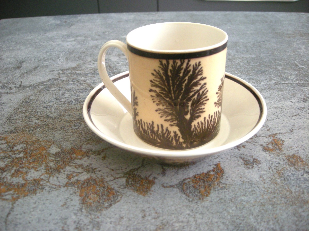 Herborisation Cup And Saucer By Manufacture De Creil