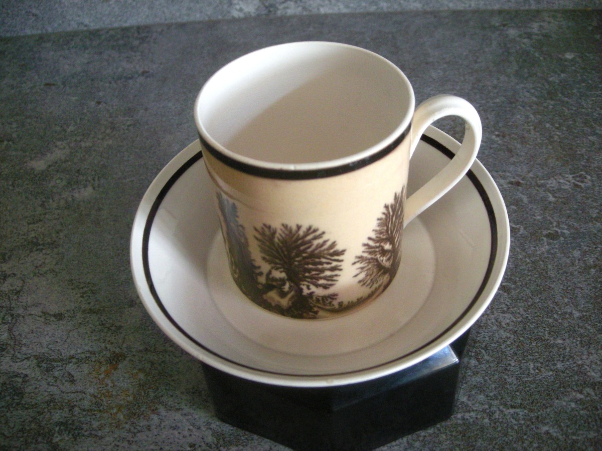 Tasse  et  Soucoupe  décor  Herborisation  de  la  Manufacture  de  Creil-photo-2