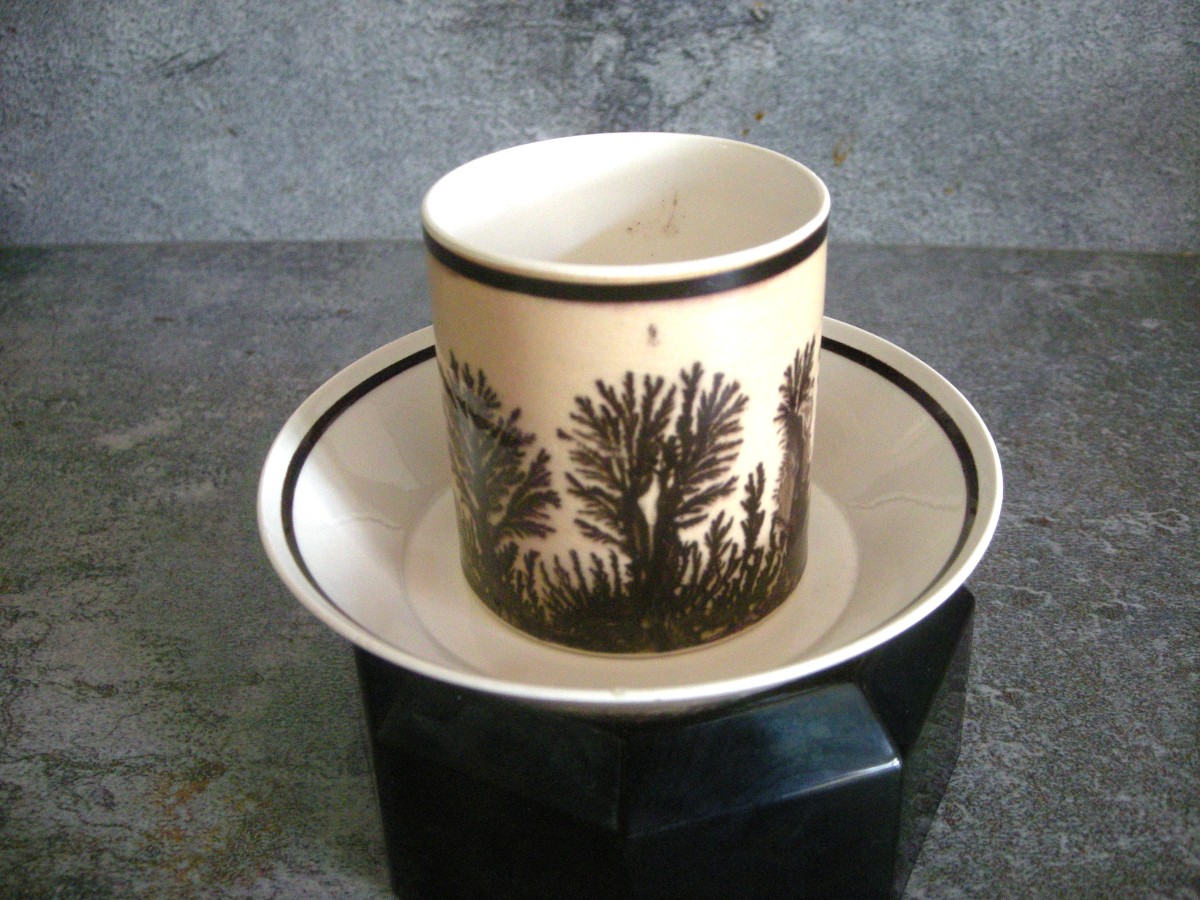 Tasse  et  Soucoupe  décor  Herborisation  de  la  Manufacture  de  Creil-photo-3