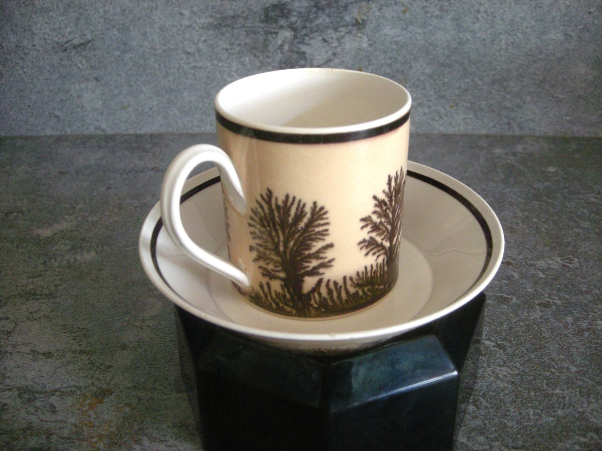 Tasse  et  Soucoupe  décor  Herborisation  de  la  Manufacture  de  Creil-photo-4