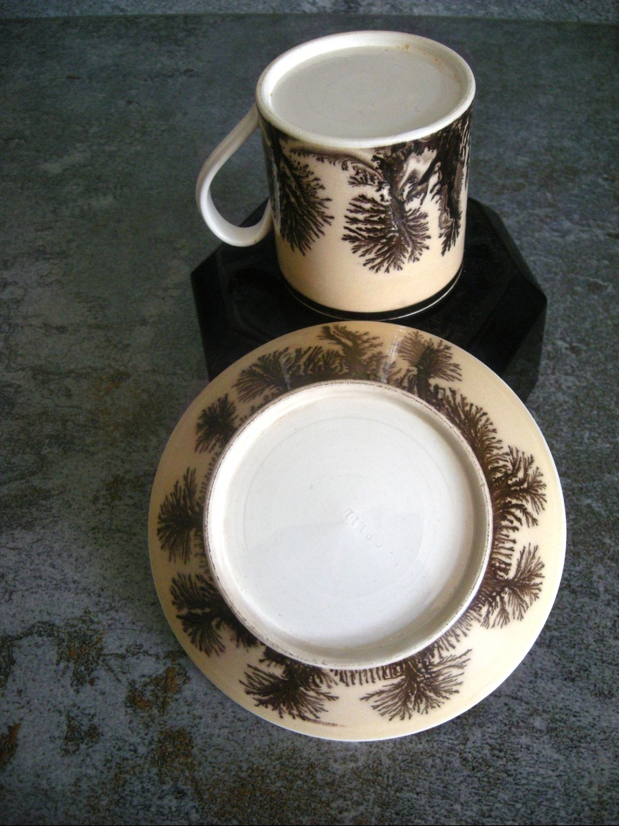 Tasse  et  Soucoupe  décor  Herborisation  de  la  Manufacture  de  Creil-photo-1