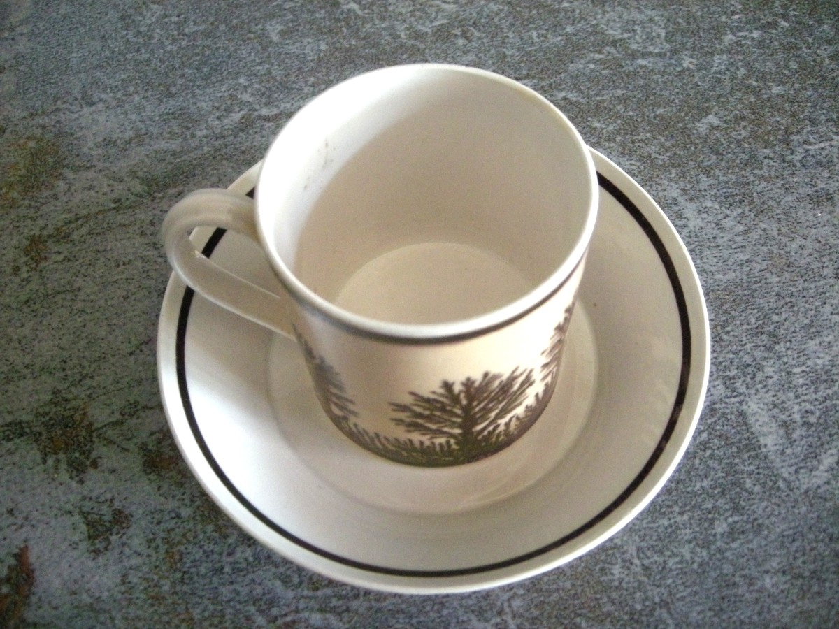 Tasse  et  Soucoupe  décor  Herborisation  de  la  Manufacture  de  Creil-photo-4