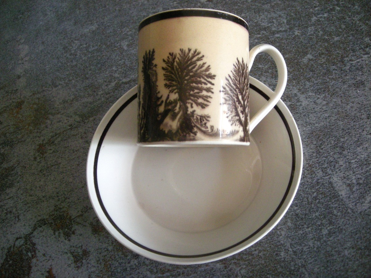 Tasse  et  Soucoupe  décor  Herborisation  de  la  Manufacture  de  Creil-photo-5