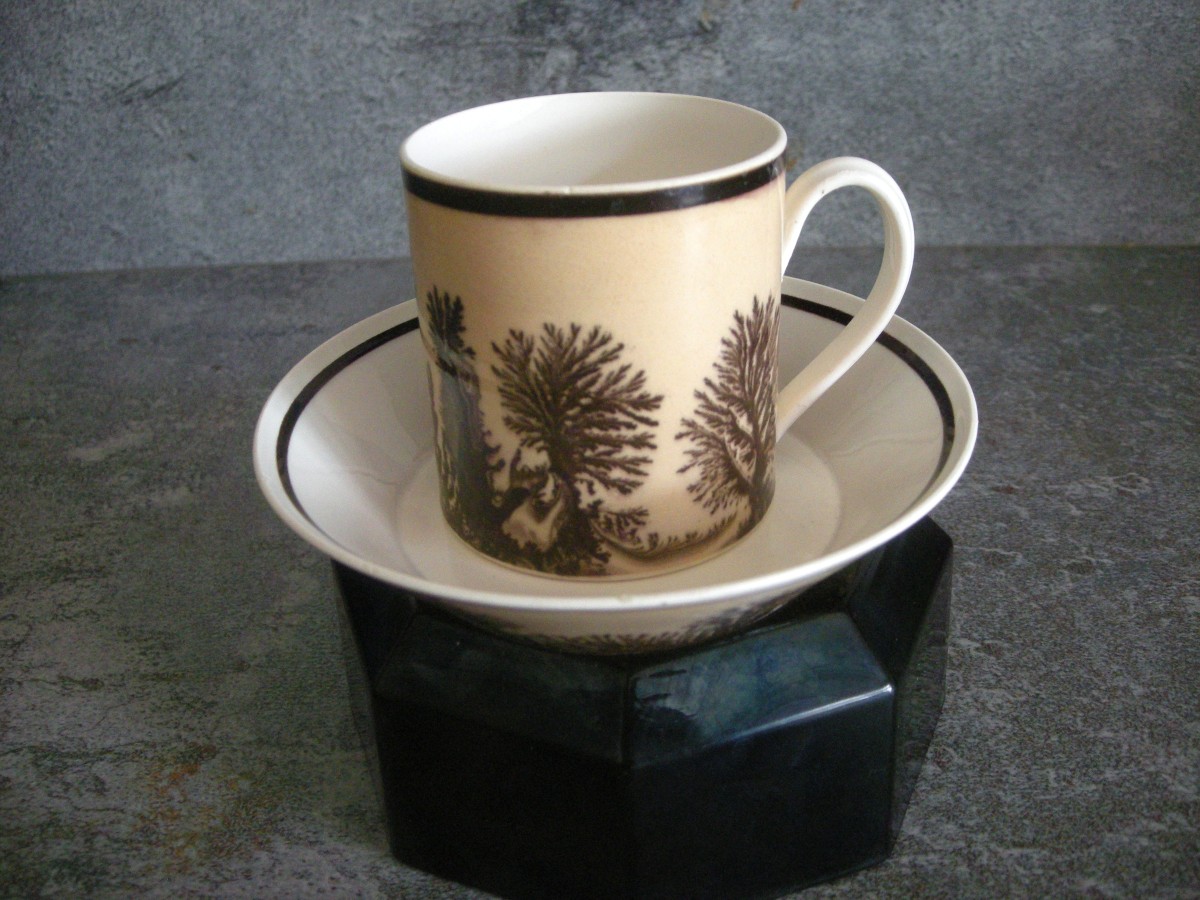 Tasse  et  Soucoupe  décor  Herborisation  de  la  Manufacture  de  Creil
