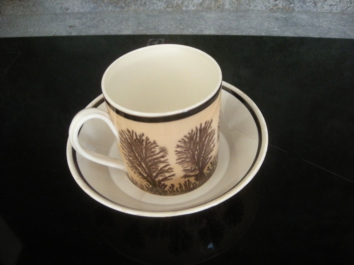 Herborisation Cup And Saucer By Manufacture De Creil-photo-1