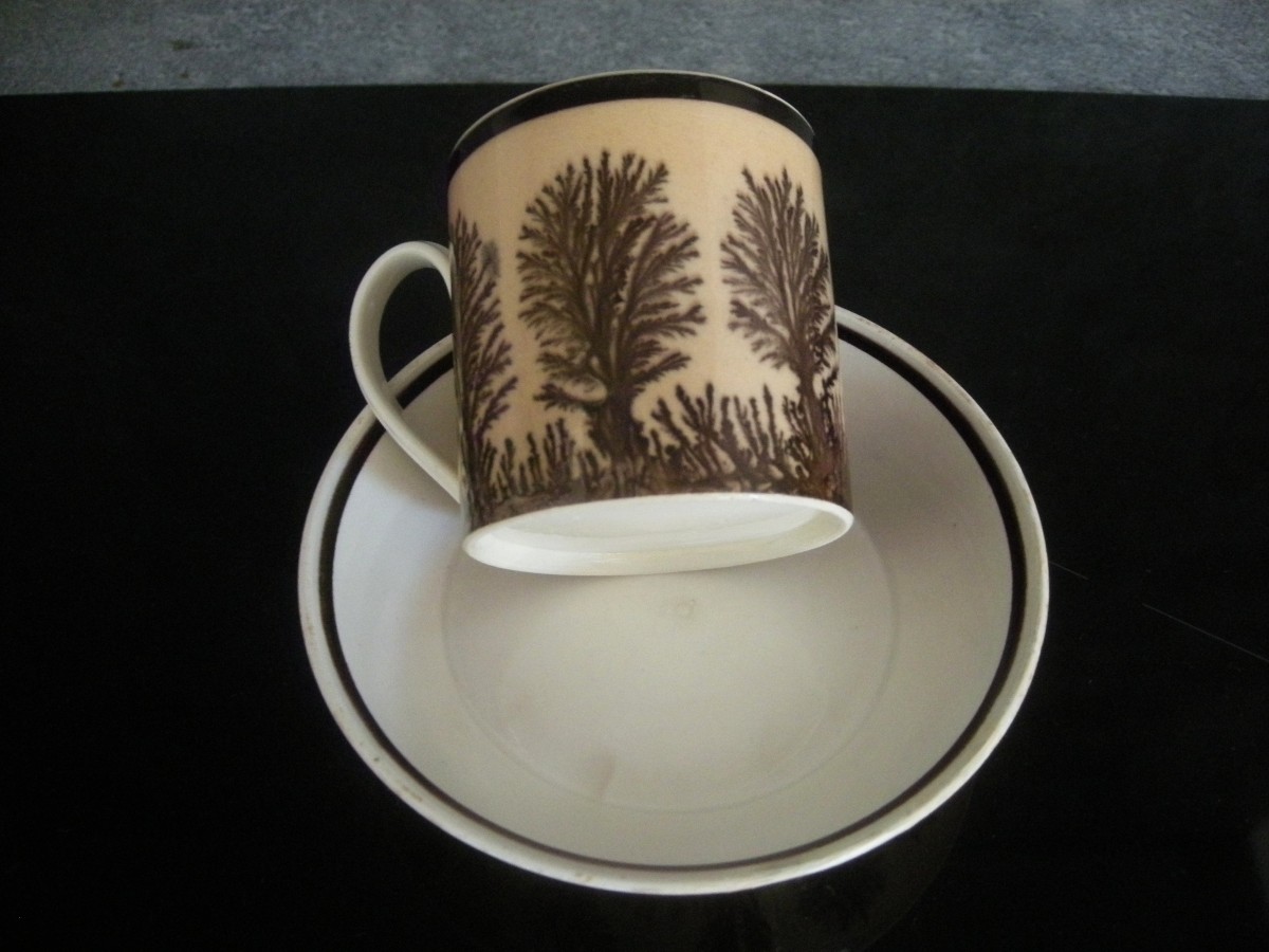 Herborisation Cup And Saucer By Manufacture De Creil-photo-2