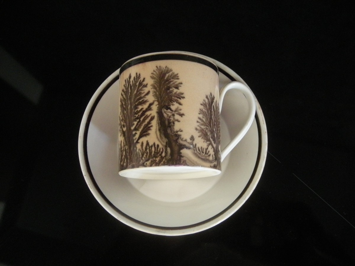Herborisation Cup And Saucer By Manufacture De Creil-photo-3