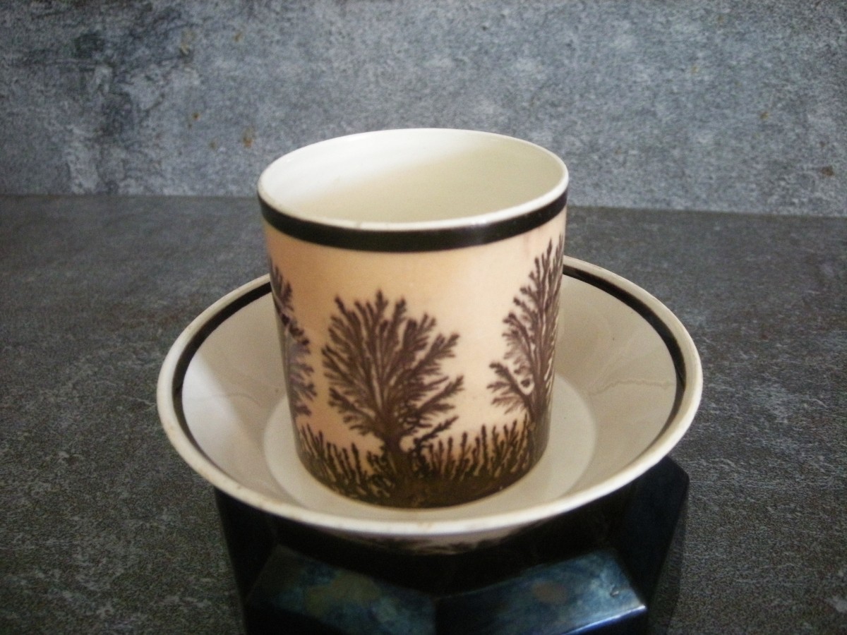 Herborisation Cup And Saucer By Manufacture De Creil-photo-6