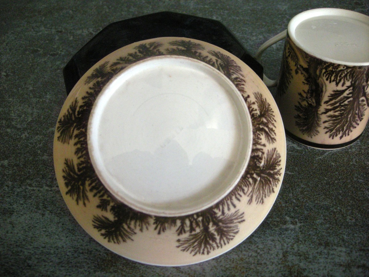 Herborisation Cup And Saucer By Manufacture De Creil-photo-7