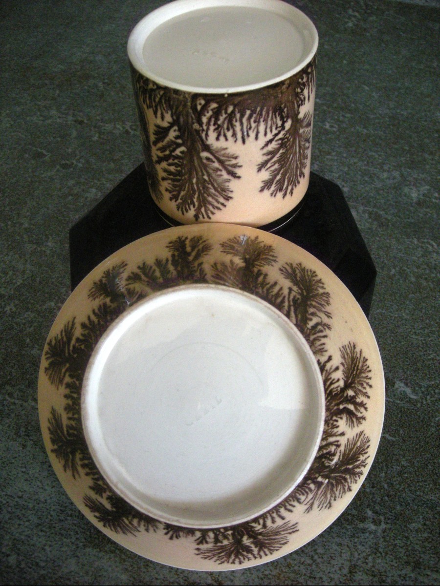 Herborisation Cup And Saucer By Manufacture De Creil-photo-8
