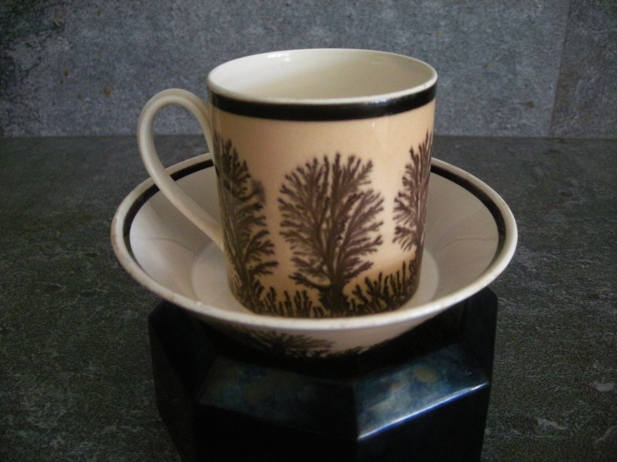 Herborisation Cup And Saucer By Manufacture De Creil