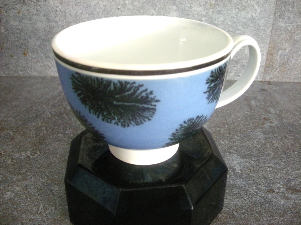 Grosse  Tasse  Faïence  1849  décor  Herborisation  Creil  Montereau-photo-2