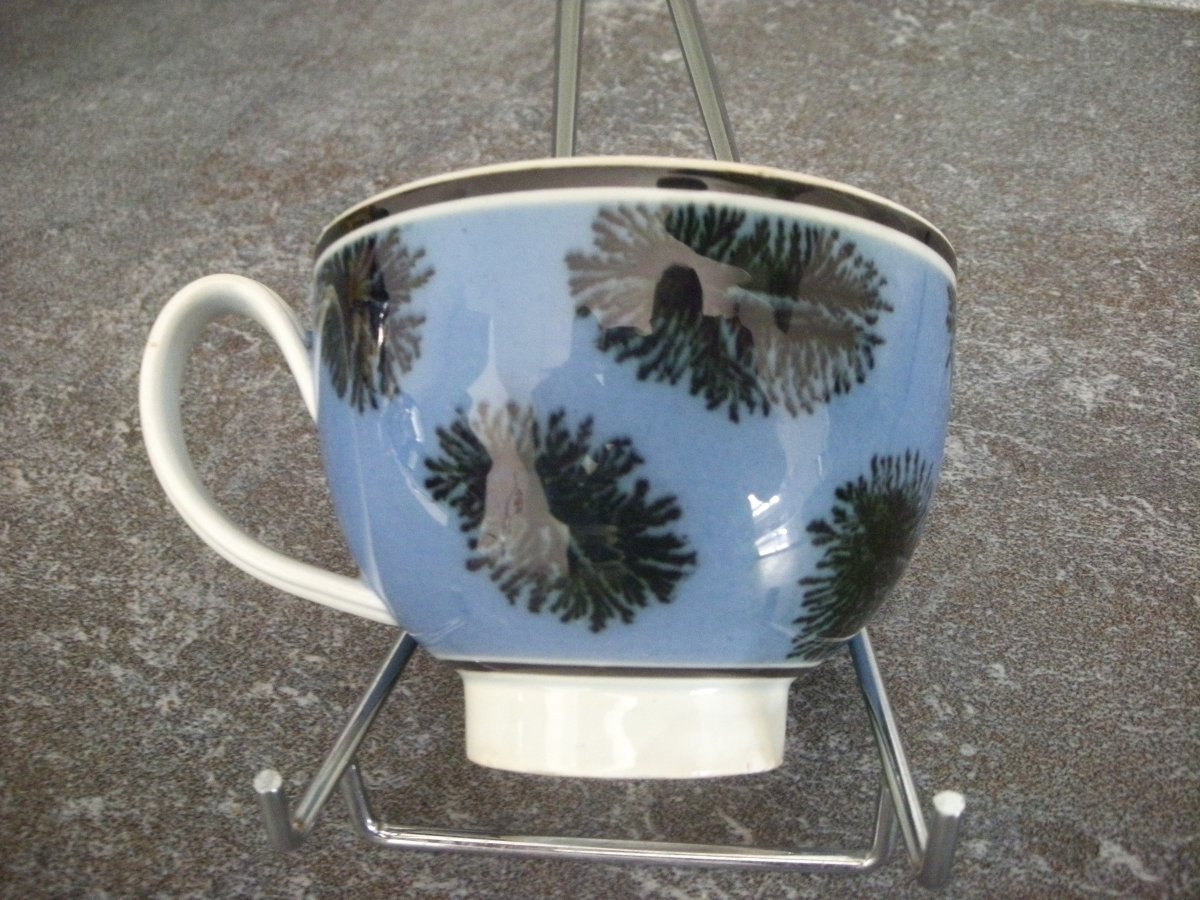 Grosse  Tasse  Faïence  1849  décor  Herborisation  Creil  Montereau-photo-7