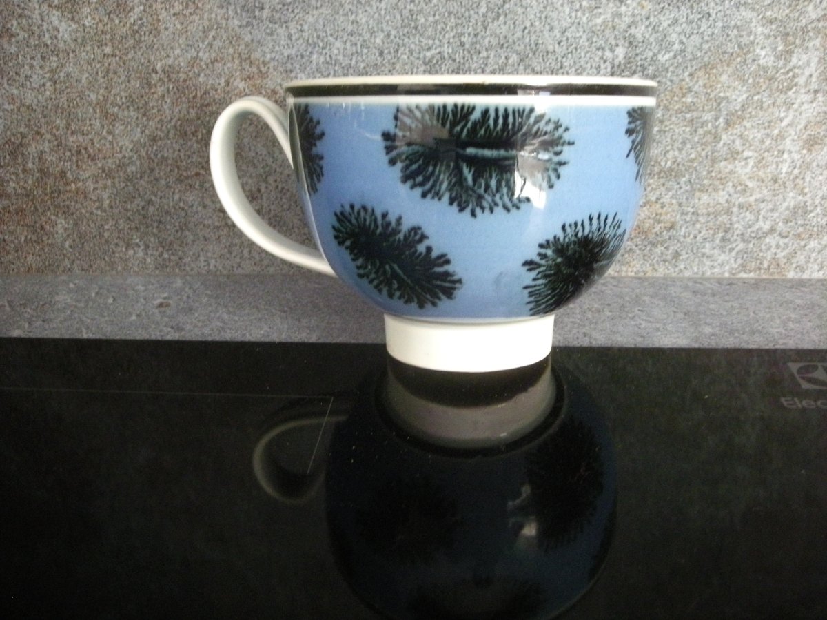 Grosse  Tasse  Faïence  1849  décor  Herborisation  Creil  Montereau-photo-8