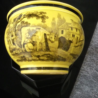 Premiere-Image-1751524