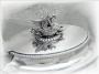 1151423-alb-648e34ae9af53.jpg
