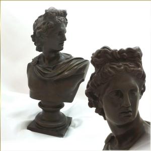 Bronze Bust With Brown Patina The Apollo From Belvedere