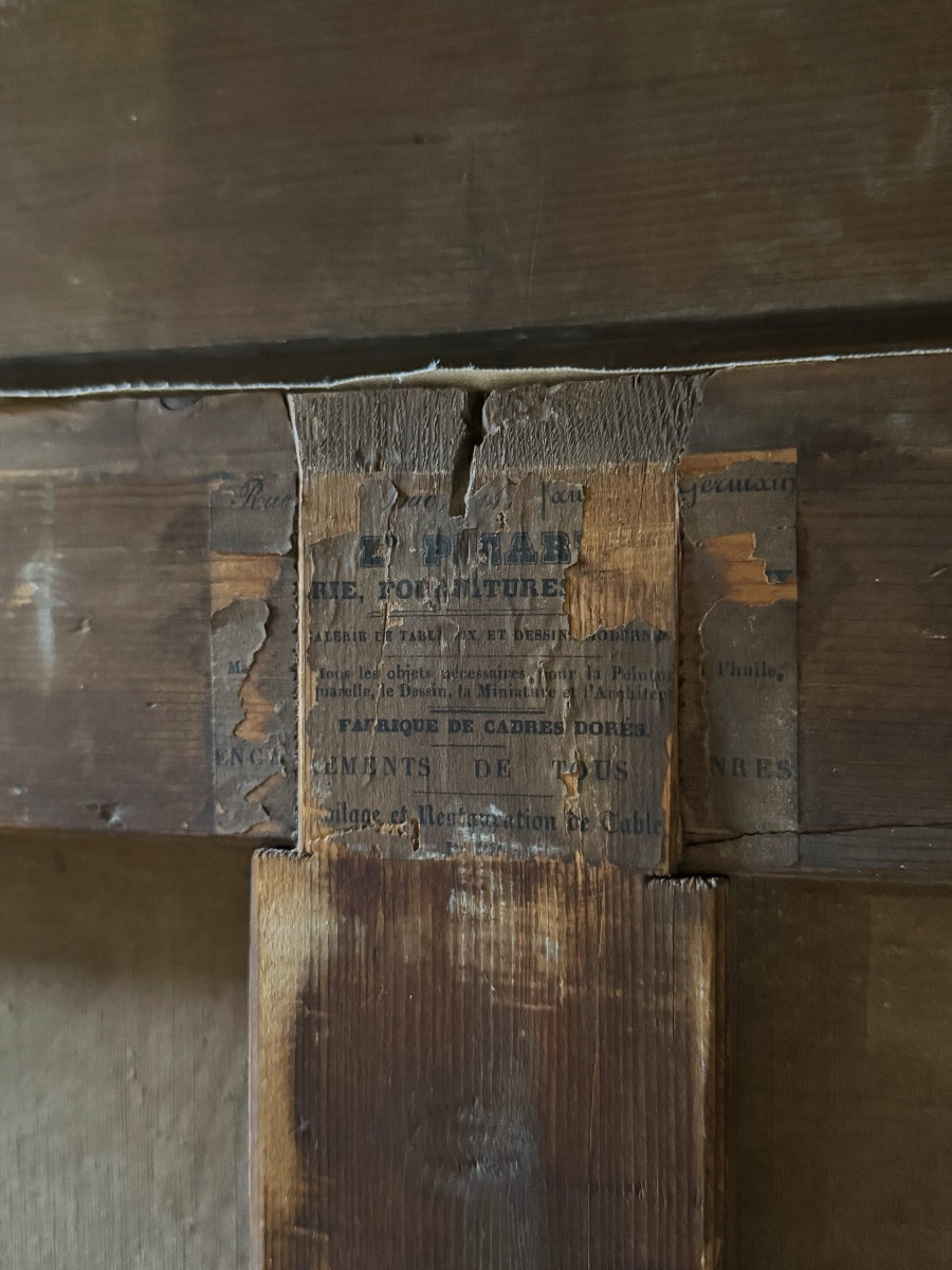Portrait de femme dans son intérieur du XIX ème siècle -photo-7
