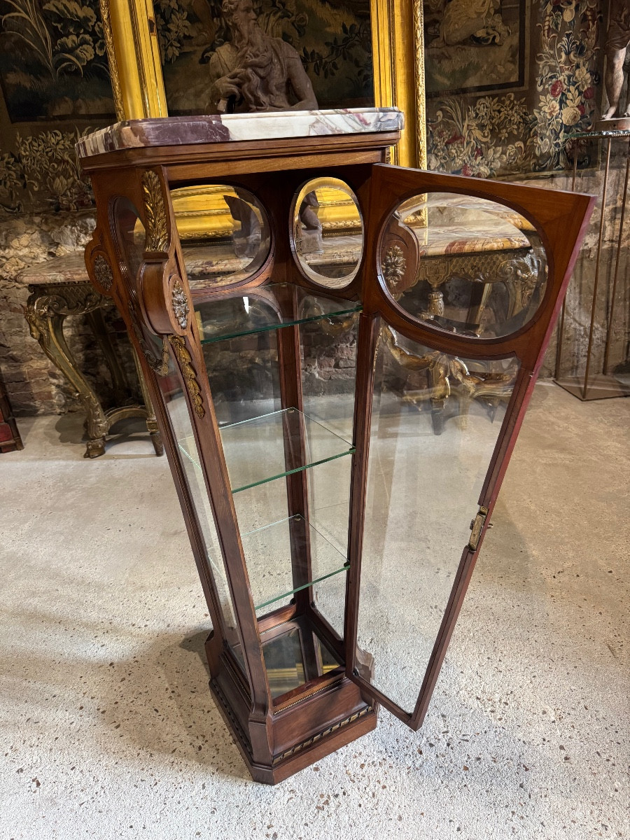 Display Case In The Shape Of A Mahogany And Gilded Bronze Sheath From The Napoleon III Period -photo-1