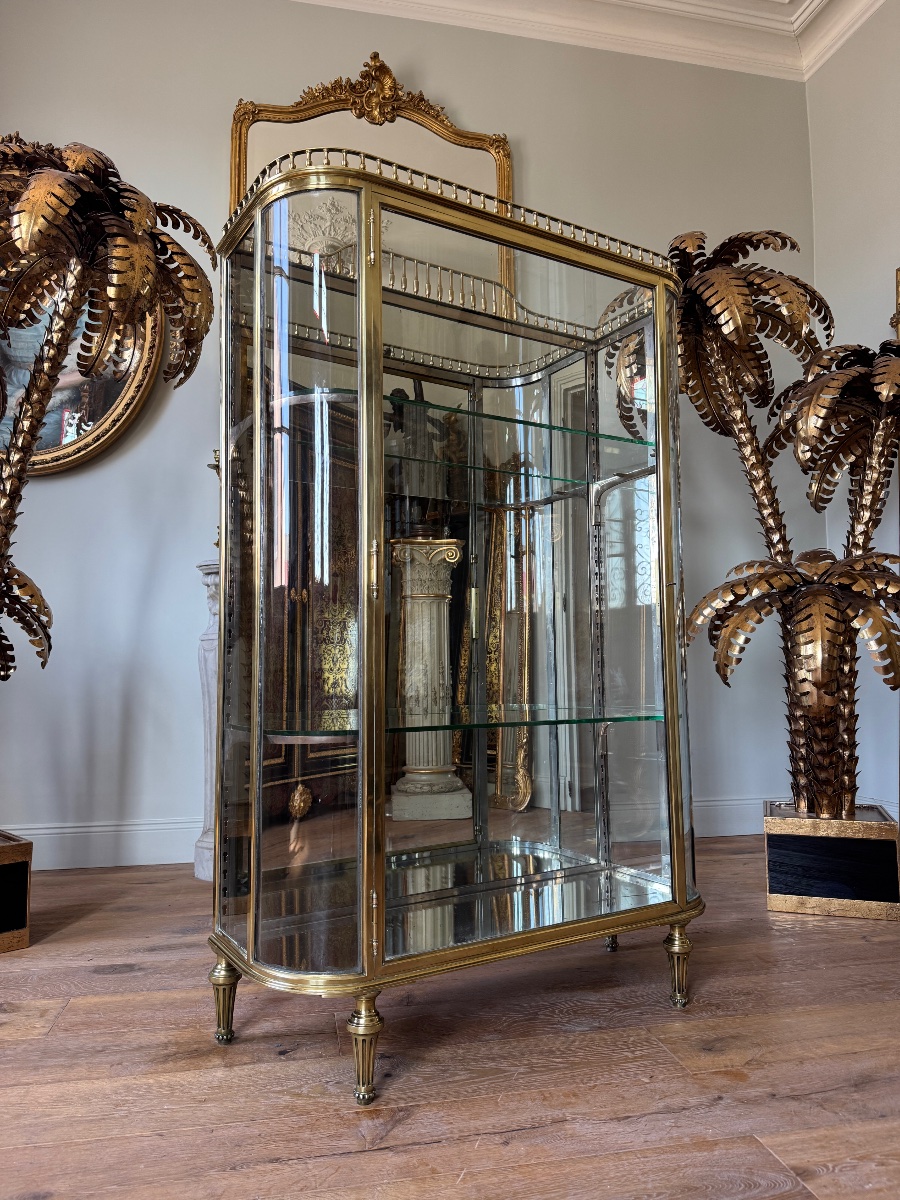Vitrine d’exposition en bronze du XIX ème siècle -photo-2