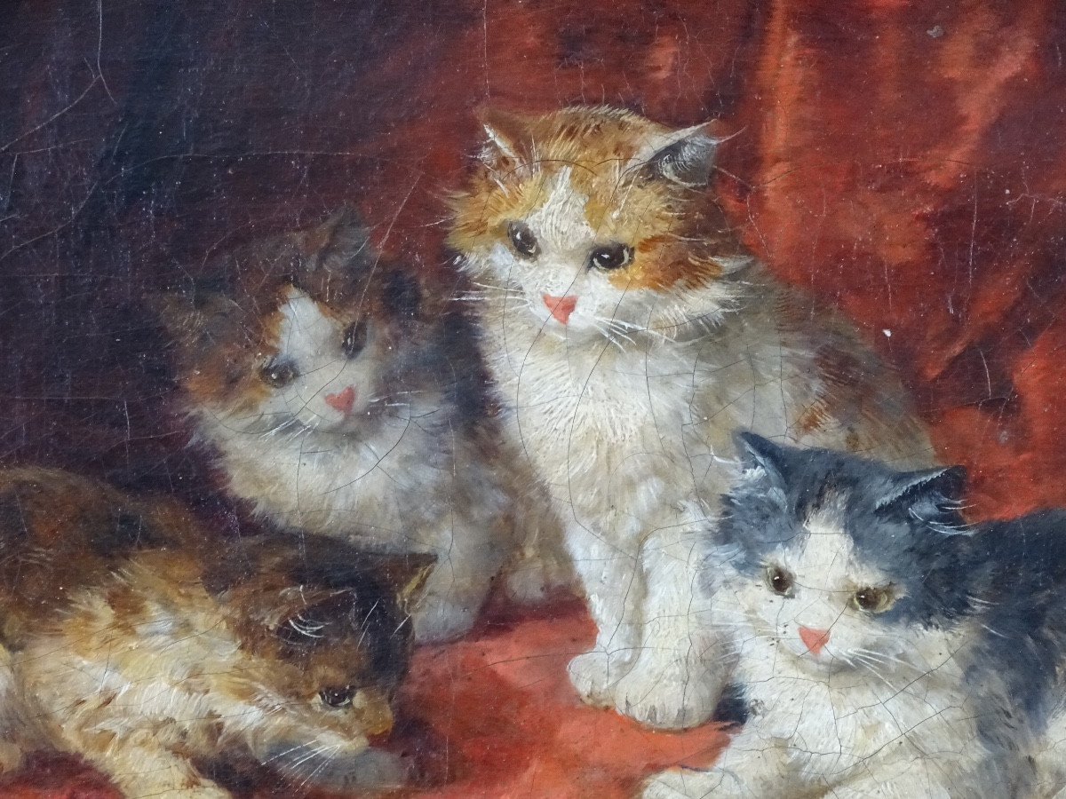Alfred-arthur Brunel De Neuville (1852-1941) – Kitten Scene, Oil On Canvas Signed-photo-3