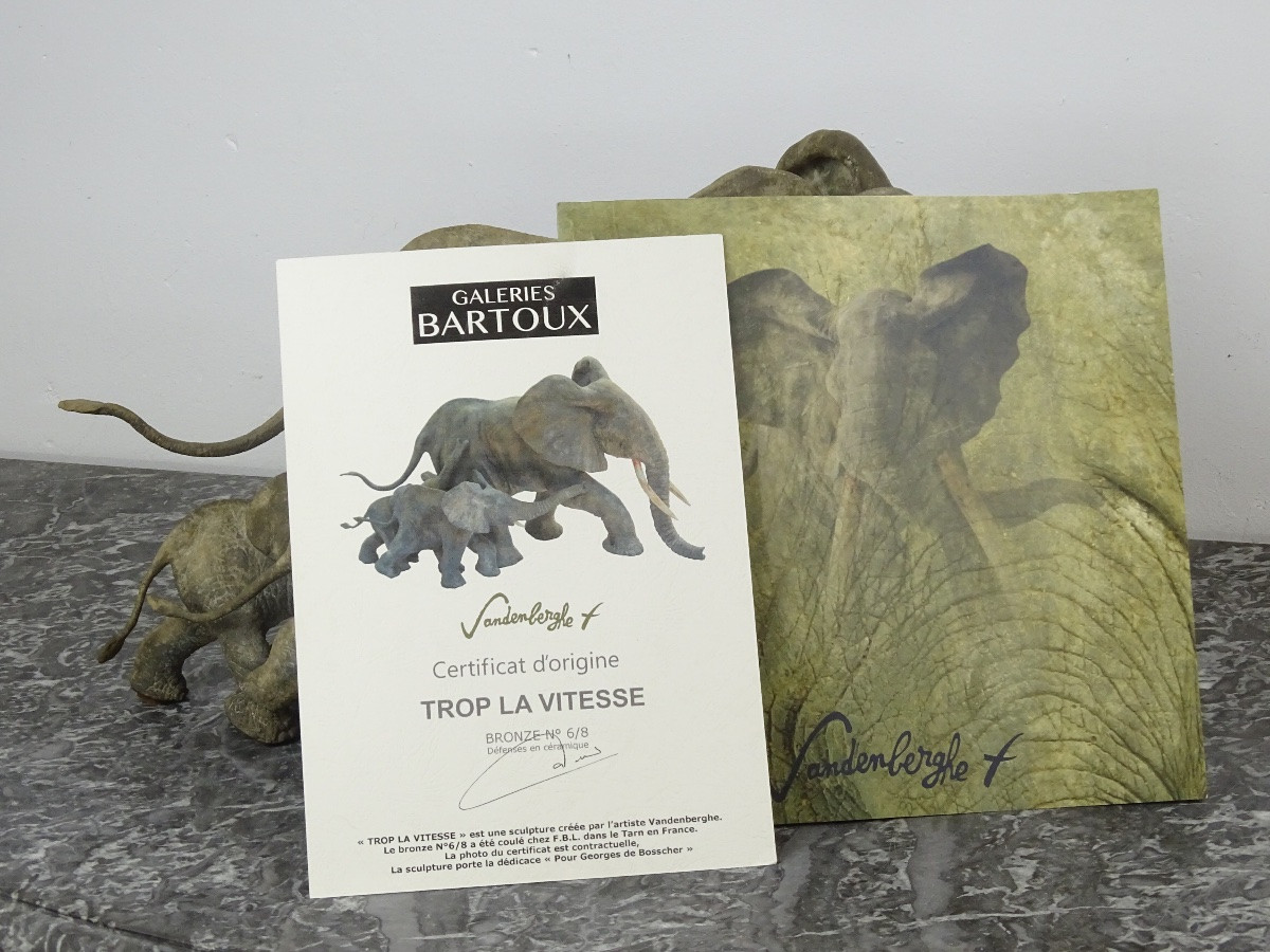 VANDENBERGHE François - « Trop La Vitesse » Groupe de 3 éléphants en Bronze Patiné-photo-5