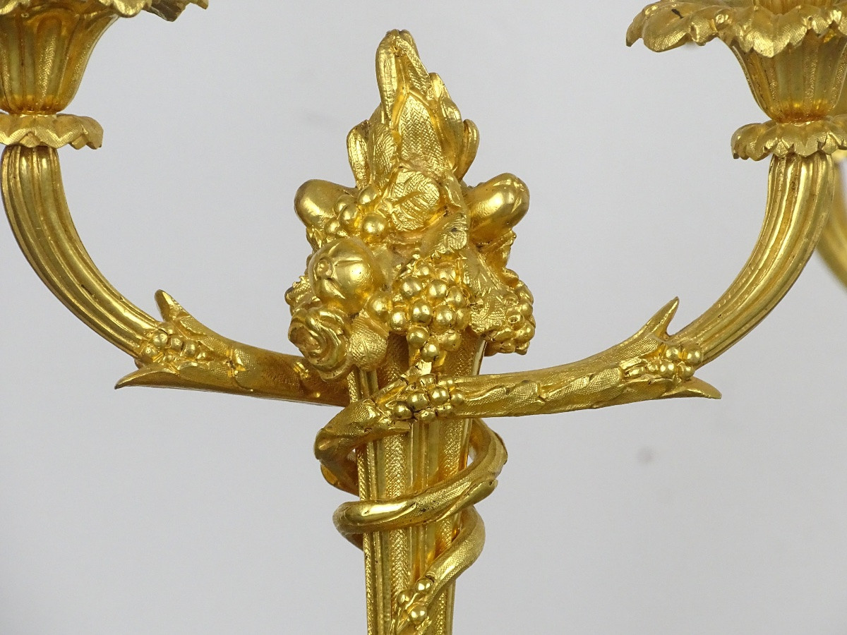 Pair Of Gilded Bronze Candelabra In The Louis XVI Style From The Napoleon III Period-photo-2