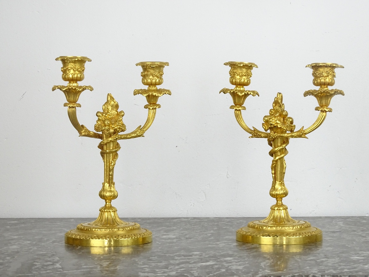 Pair Of Gilded Bronze Candelabra In The Louis XVI Style From The Napoleon III Period