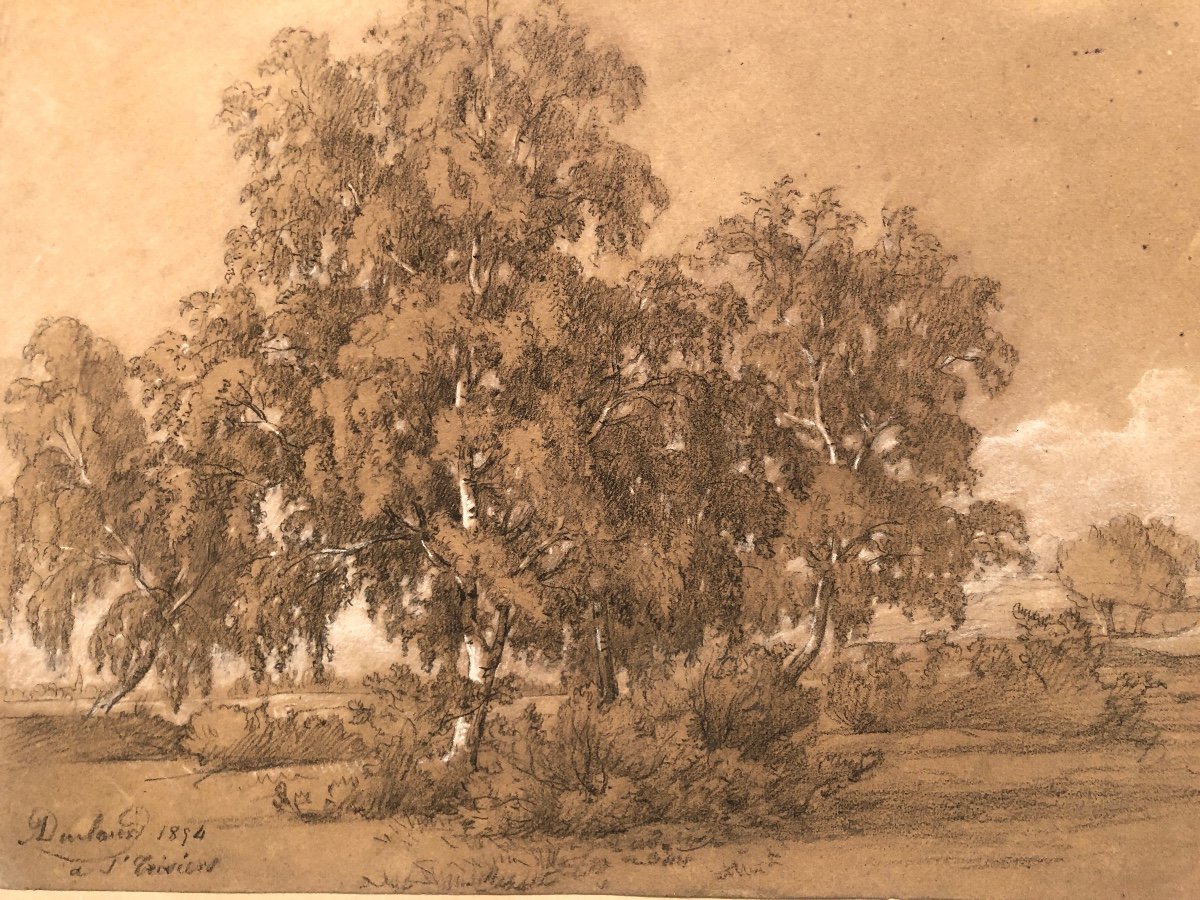 Jean Antoine Duclaux Lyon 1783-1868 Drawing And Pastel 1854 Landscape At St Triviers Ain /6-photo-4