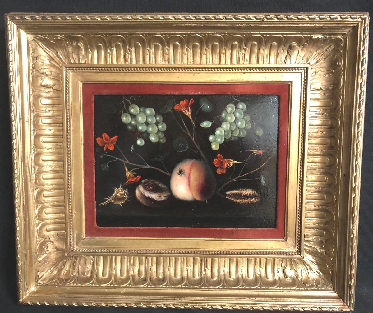 Oil Signed Still Life With The Fly Nineteenth Or Before In Very Good Condition-photo-8