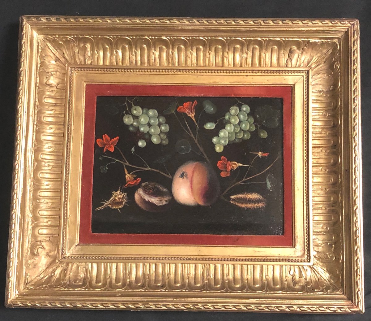 Oil Signed Still Life With The Fly Nineteenth Or Before In Very Good Condition
