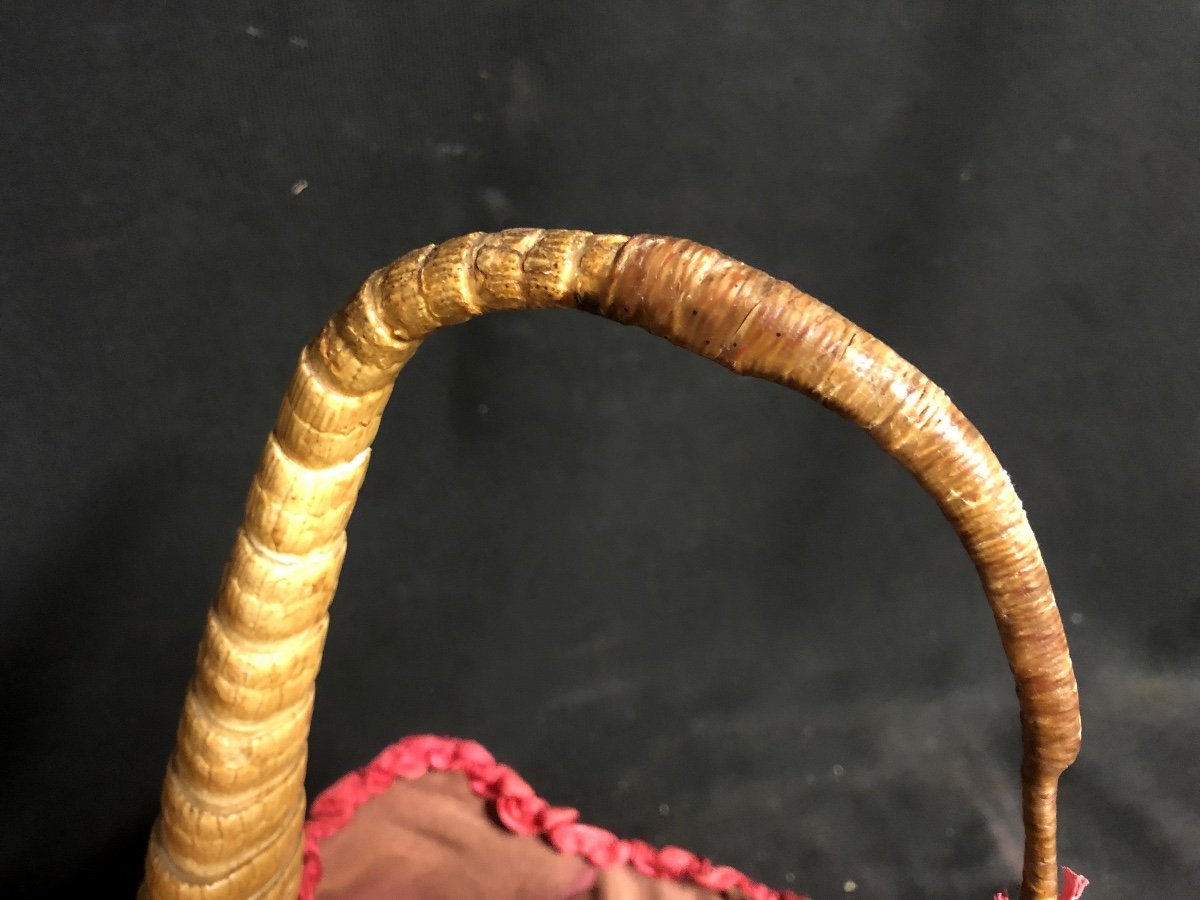 Armadillo Basket Handbag Old Taxidermy Curiosity-photo-1