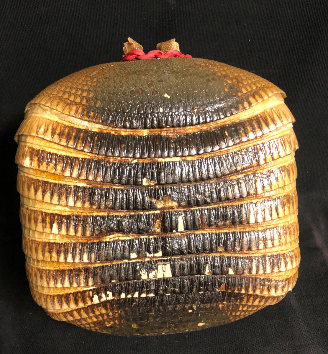 Armadillo Basket Handbag Old Taxidermy Curiosity-photo-3