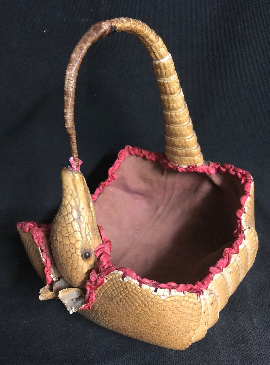 Panier Tatou Sac à Main Ancien Taxidermie Curiosité 