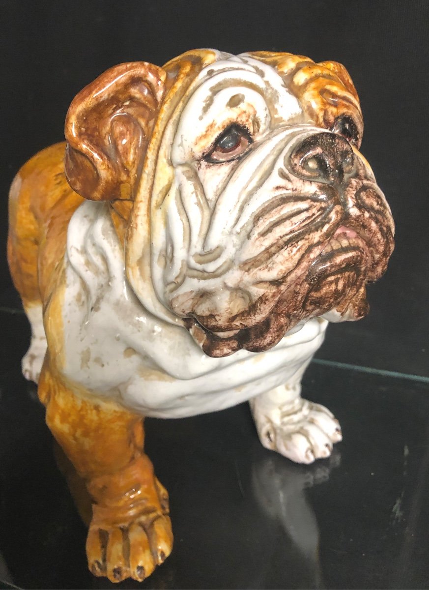 Important DOGUE En céramique émaillée Chien Bouledogue Bulldog-photo-2