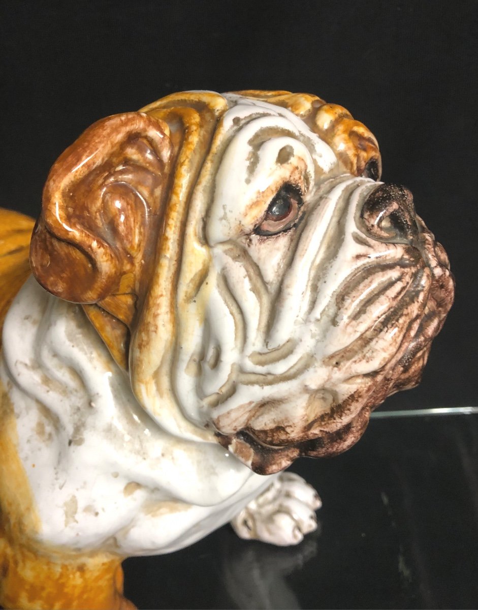 Important DOGUE En céramique émaillée Chien Bouledogue Bulldog-photo-2