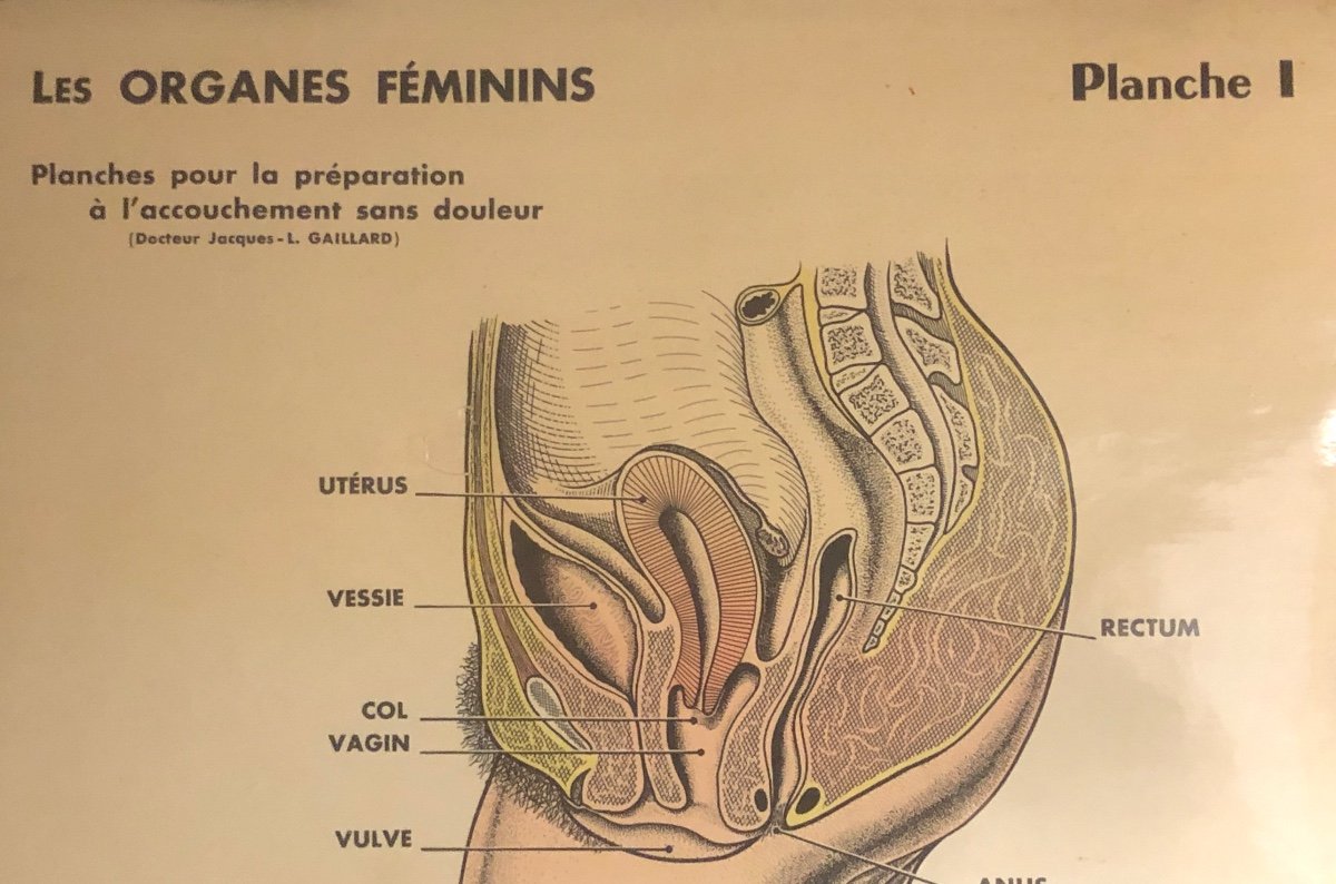 RARE 4 Planches Préparation à l’accouchement sans douleur Grossesse Sage Femme Medecine Rivallain XIXe/XXe-photo-2