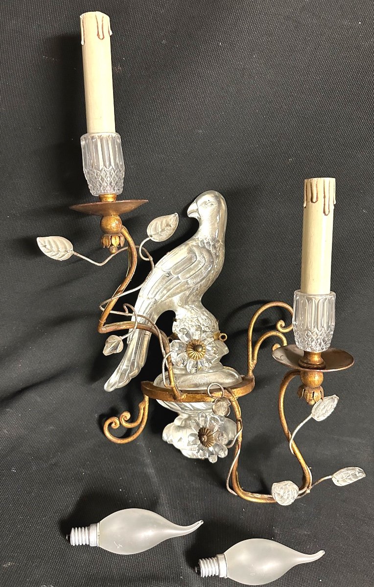 Maison Baguès In Paris Rare Suite Of 4 Wall Lamps With 2 Lights Parrot Or Parakeet 1950 In Very Good Condition-photo-1