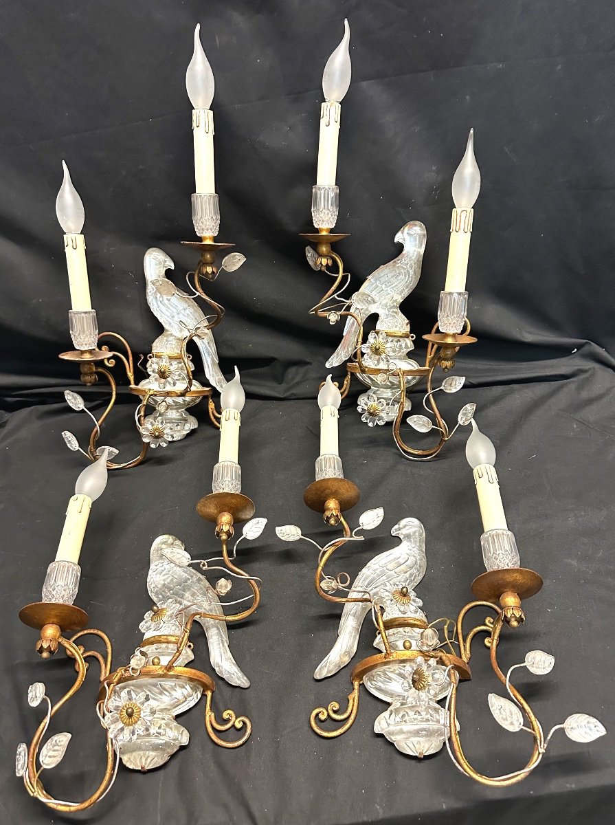 Maison Baguès In Paris Rare Suite Of 4 Wall Lamps With 2 Lights Parrot Or Parakeet 1950 In Very Good Condition