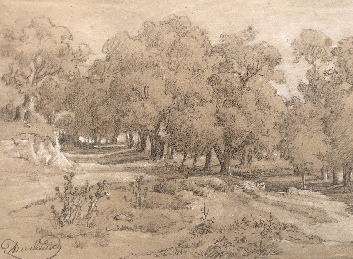 Jean Antoine Duclaux Lyon 1783-1868 Drawing And Pastel Tree Landscape /8-photo-4