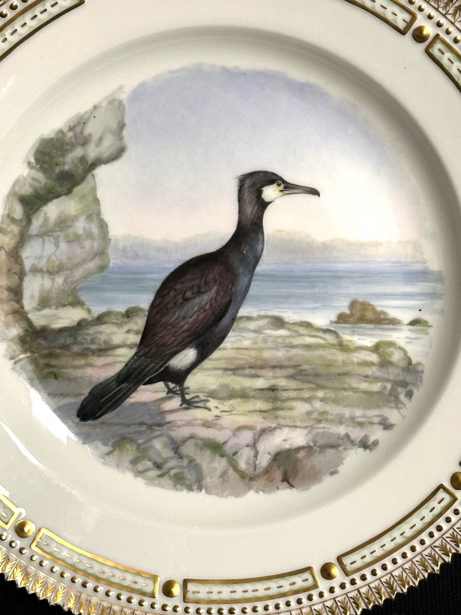 Royal Copenhagen Large Cormoran Plate Fauna Danica Perfect Condition Larsen Copenhagen Flora-photo-3