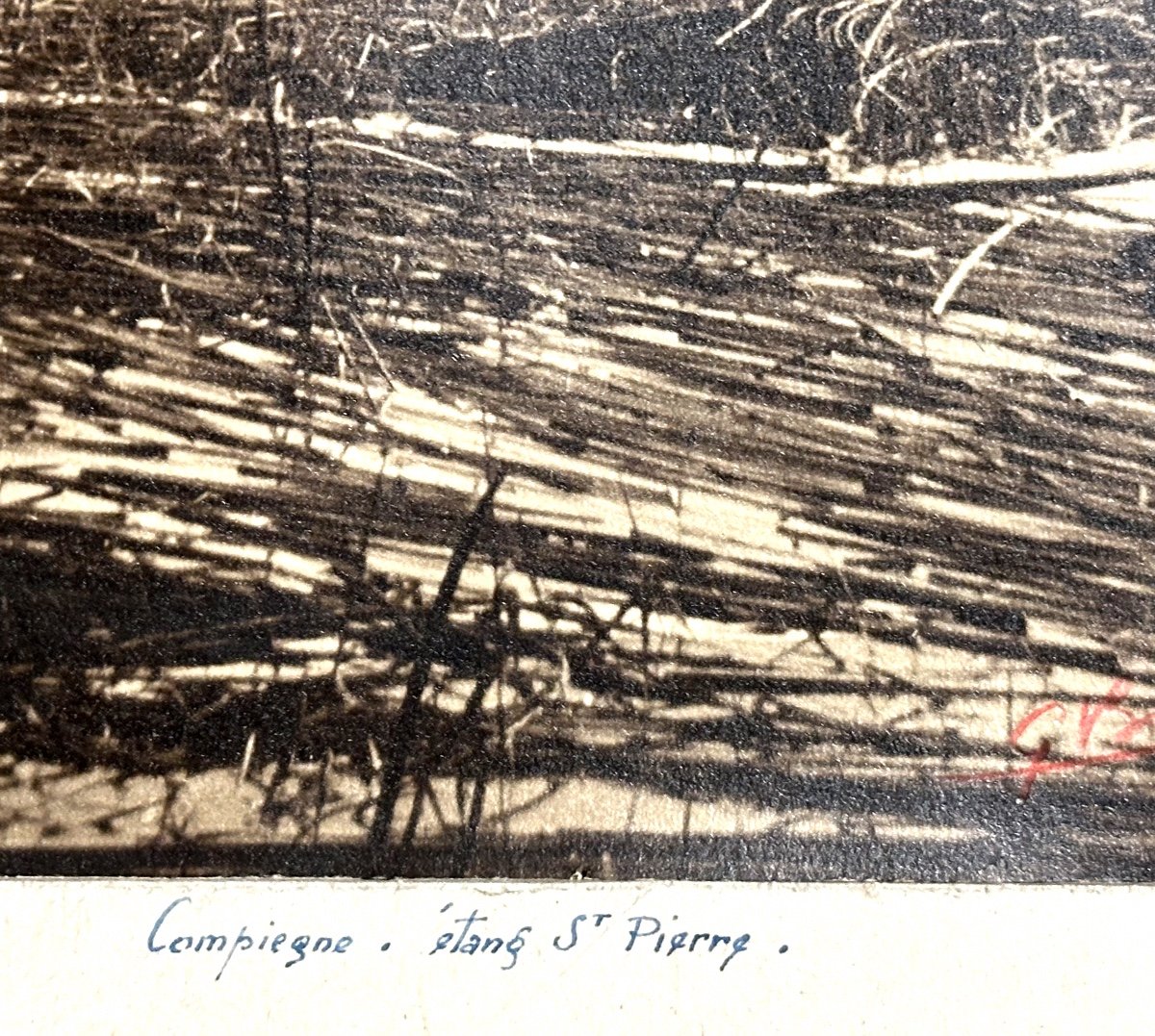 Georges Boyer Lyon 20th Photograph Compiegne Etang St Pierre Photo /45-photo-4