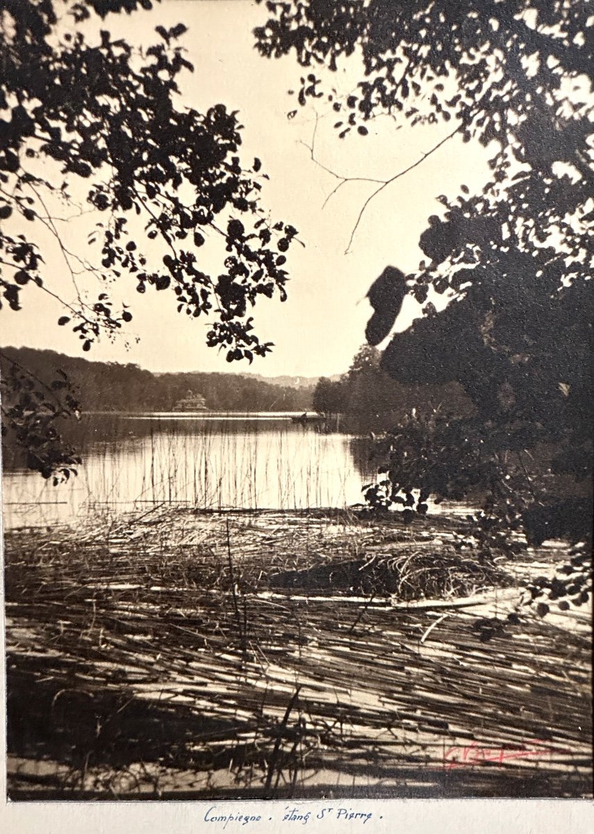 Georges Boyer Lyon 20th Photograph Compiegne Etang St Pierre Photo /45