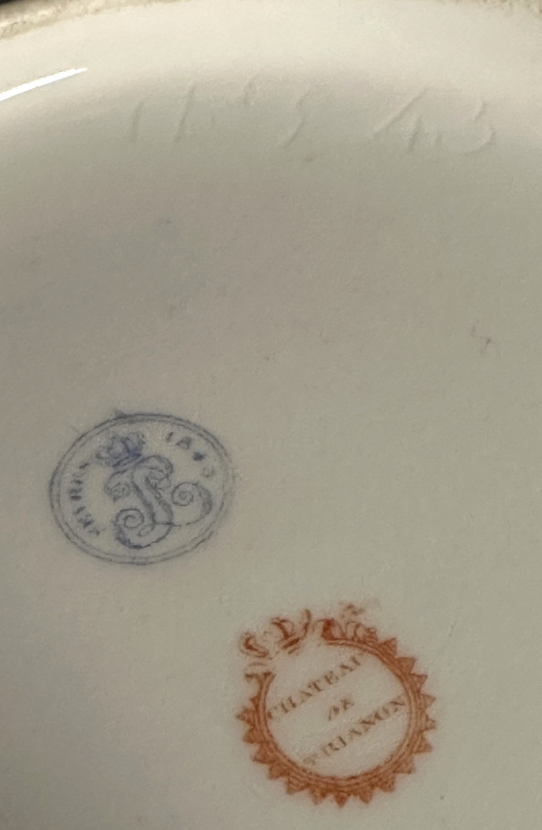 Rare Royal Sevres Luncheon 1847 King Louis Philippe Château De St Cloud Tea Cup Saucer-photo-2