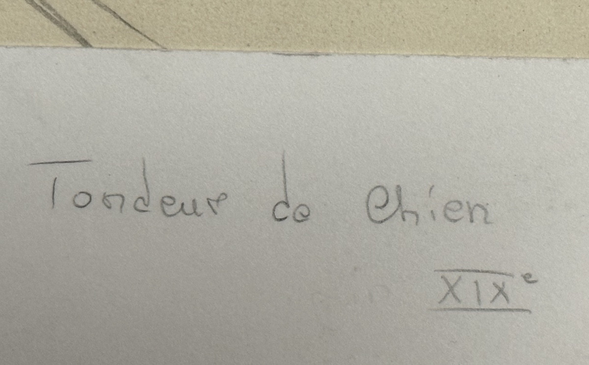 Dessin signé XIXe Tondeur de chiens chats à Paris toilettage pour chien chat curiosité-photo-2