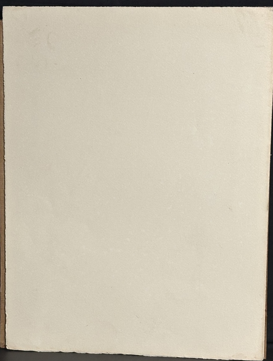 Alexandre STEINLEN 1859-1923 DEUX CHATS lithographie chat signée  /1-photo-2