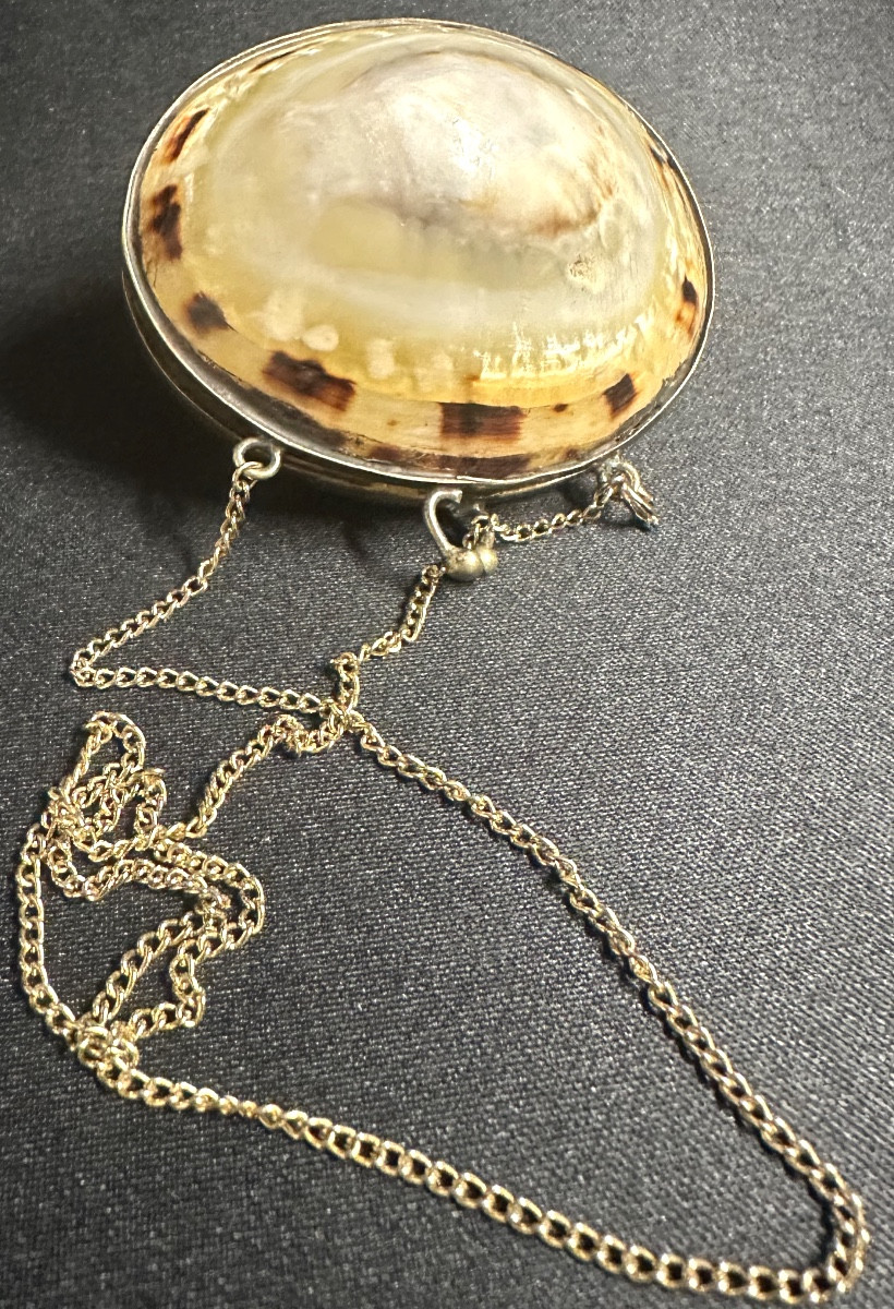 Antique Shell Box Necklace With Unmarked Silver Clasp And 20th Century Gold Chain-photo-4